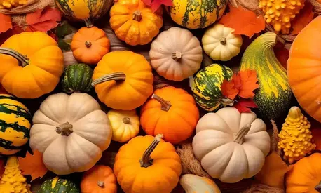 7 продуктов для подзарядки здоровья в эту пору года